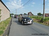 Zandlemig Vlaanderen